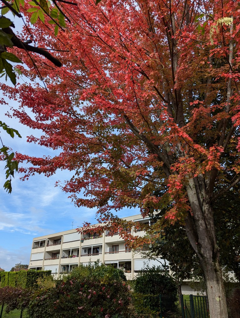 copropriété bord de marne